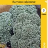 Parsakaali Ramoso Calabrese