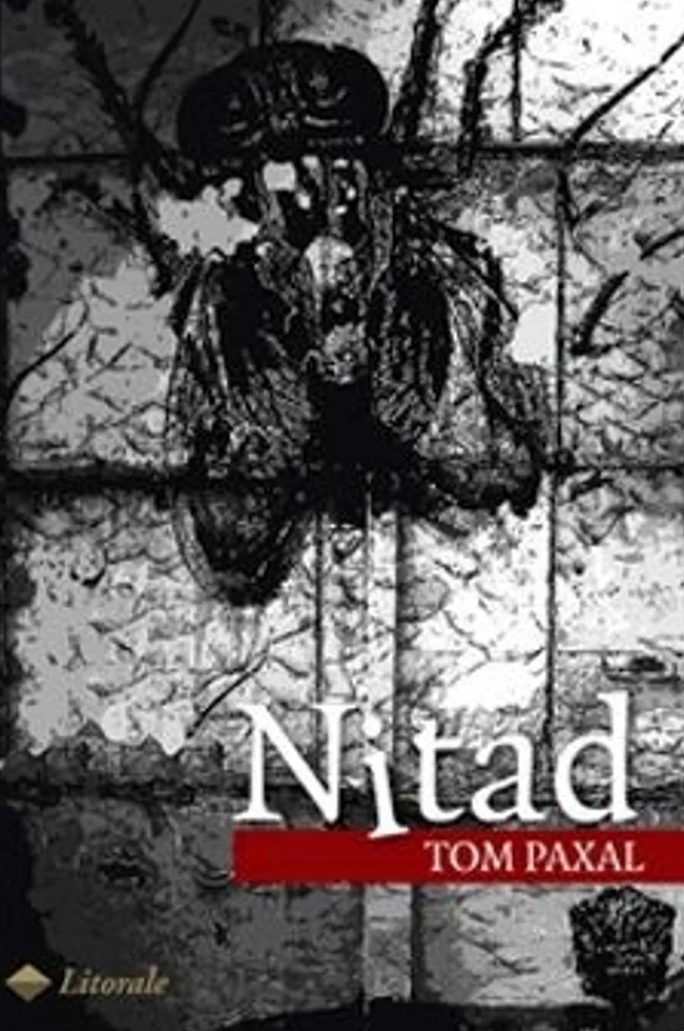 Paxal, Nitad - en kriminalroman