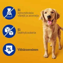 Pedigree Dentastix Large 154g