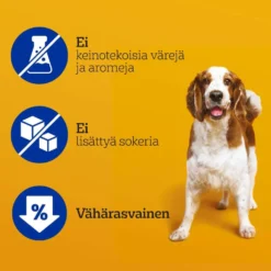Pedigree Dentastix Medium Monipakkaus 4x180g