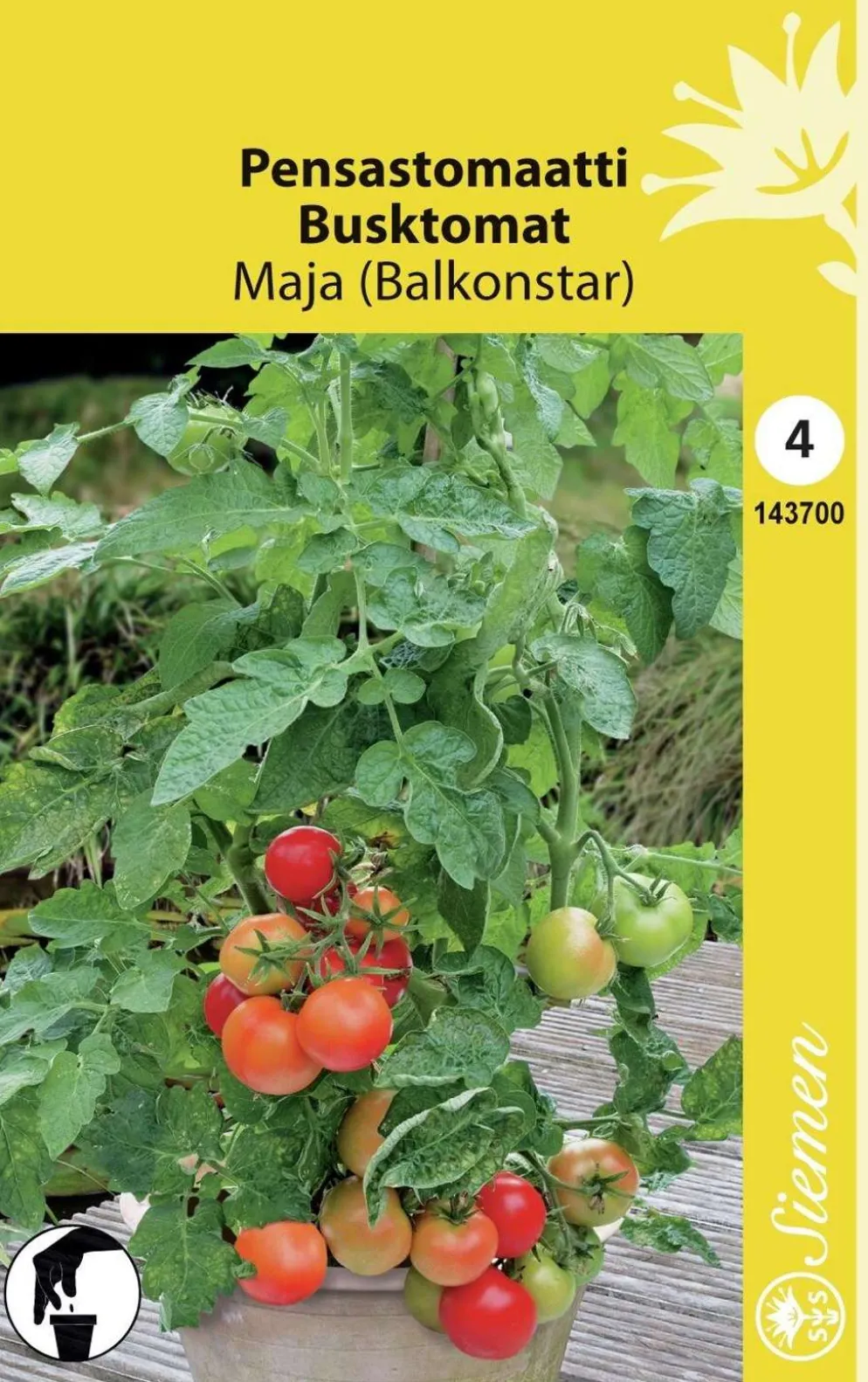 Pensastomaatti Maja (Balkonstar)