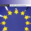 Penttinen, Avaimet EU-oikeuteen