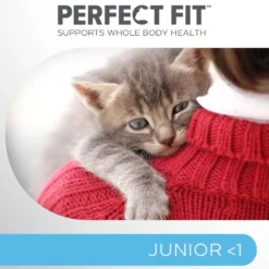 Perfect Fit Junior <1 Kanaa 750g