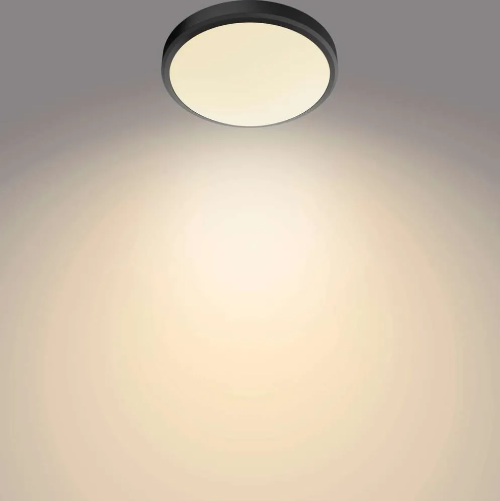 Philips kylpyhuoneen kattovalaisin Doris musta 17W 27K IP44