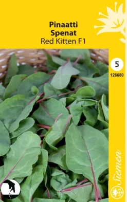 Pinaatti Red Kitten F1