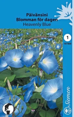 Päivänsini Heavenly Blue