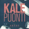 Puonti, Aribo