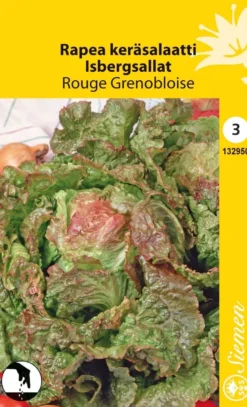 Rapea Keräsalaatti Rouge Grenobloise