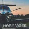 Rauskanen, Harambee - Yhteispeliä lähetystyössä