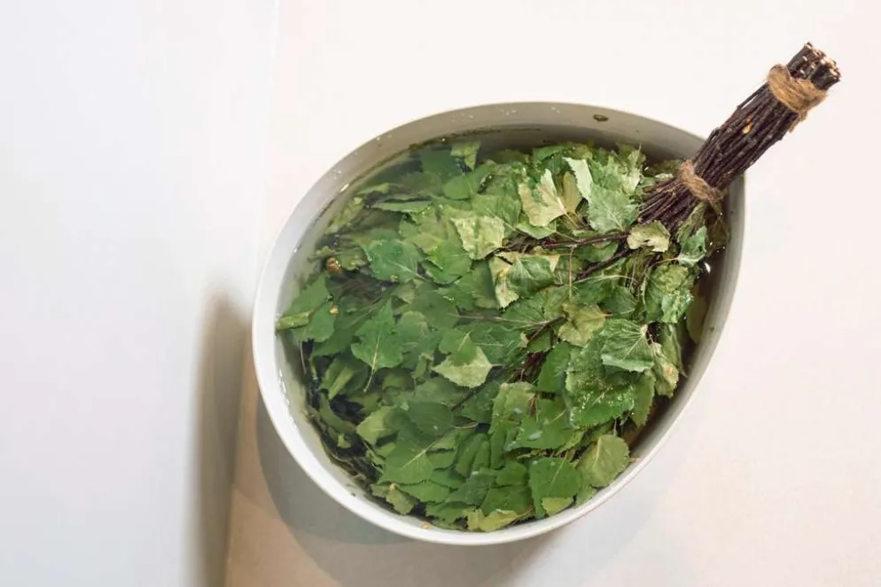Rento Kuivattu Saunavihta koivu