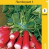 Retiisi Flamboyant 3