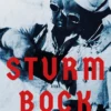 Rikkinen, Sturmbock - Tutkimusmatka Lapin sodan linnoitteisiin