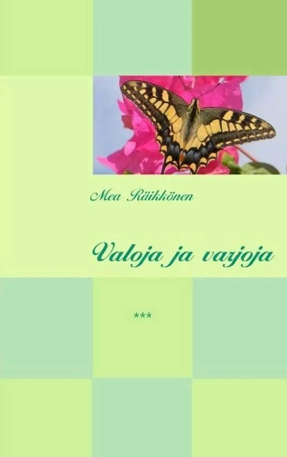 Räikkönen, Valoja ja varjoja