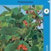 Ruusupapu Prizewinner