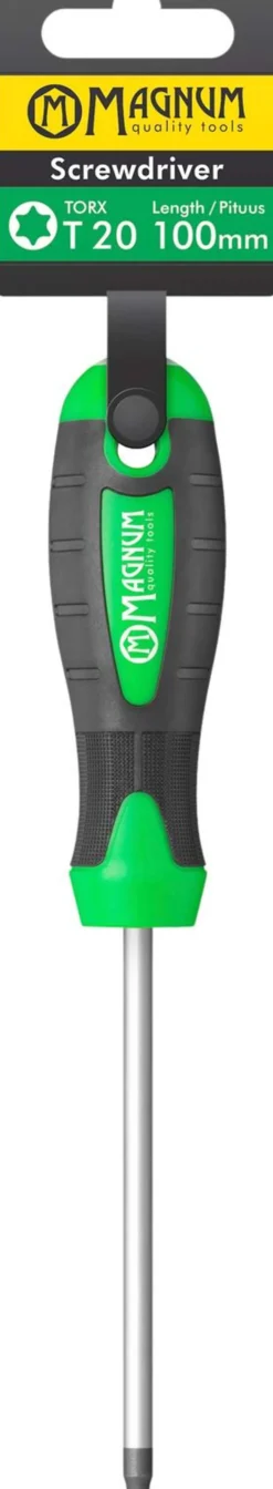 Ruuvitaltta T20 100mm