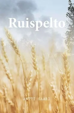 Saari, Ruispelto - Romaani