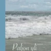 Salomaa, Paljon yli huomisen