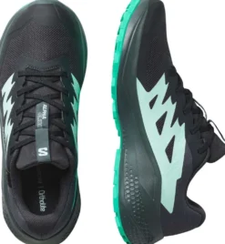 Salomon naisten maastojuoksukengät Alphaglide GTX