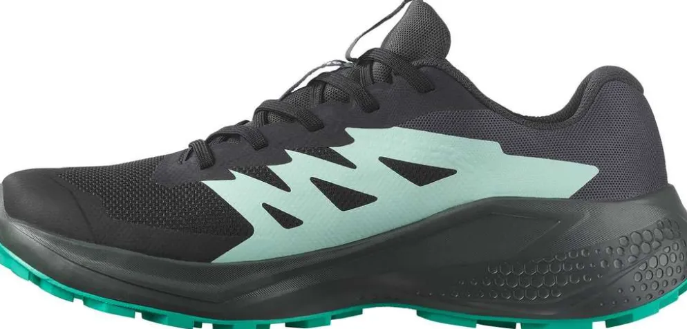Salomon naisten maastojuoksukengät Alphaglide GTX