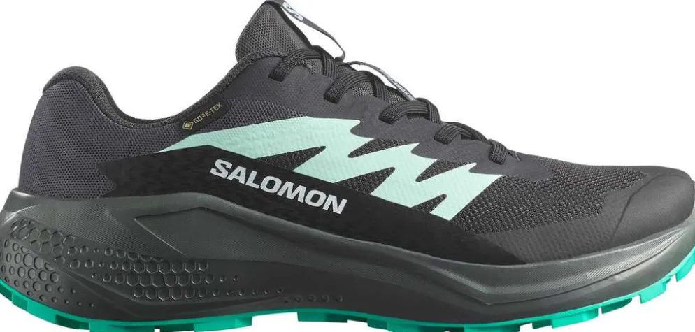 Salomon naisten maastojuoksukengät Alphaglide GTX