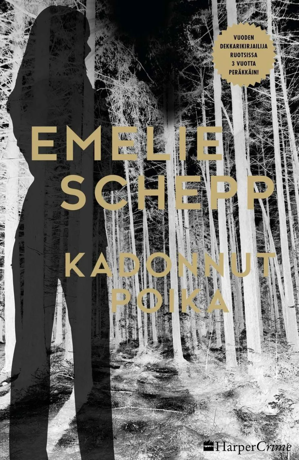 Schepp, Kadonnut poika