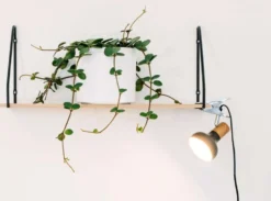Sessak Lighting nipistinvalaisin Isa N49210-1MU musta