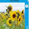 Siemen isoauringonkukka Henri Wilde