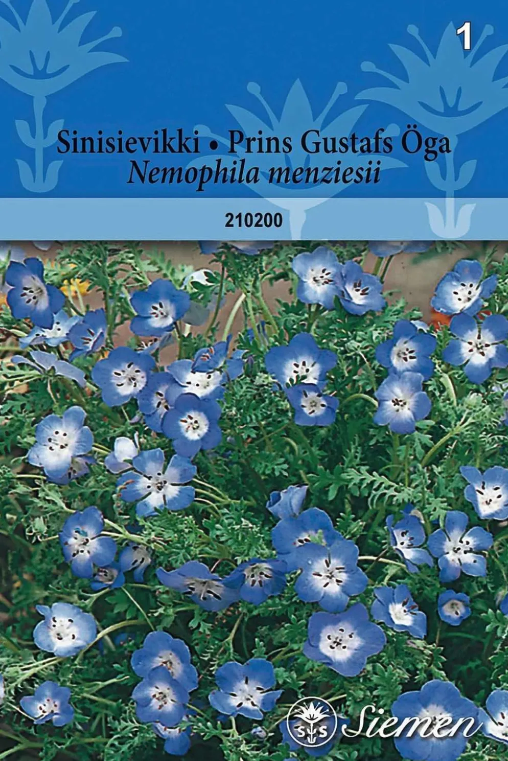Sinisievikki