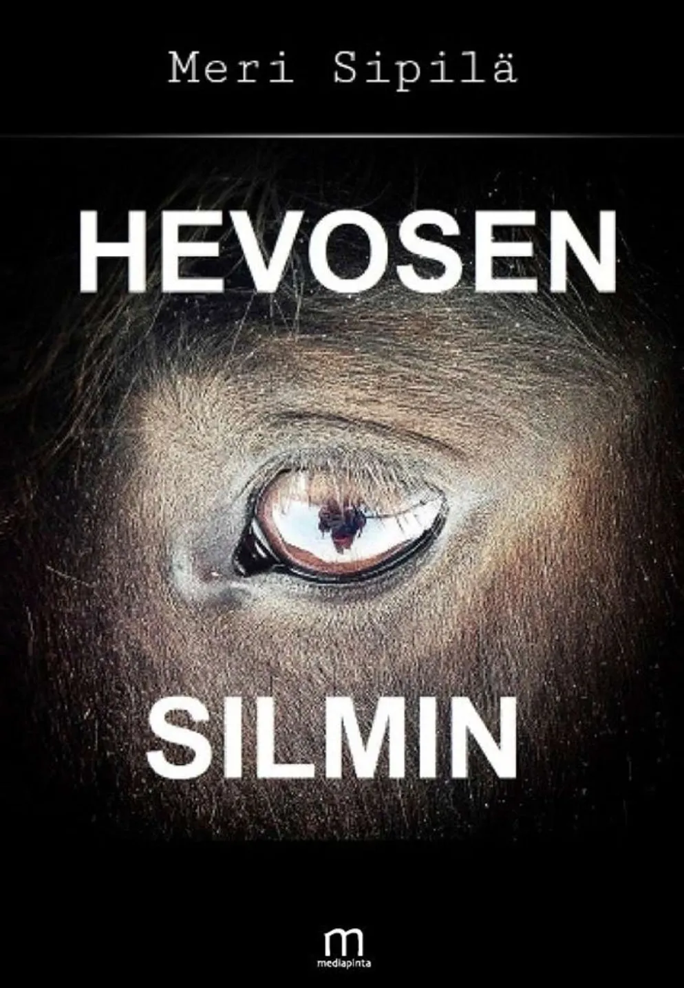Sipilä, Hevosen silmin