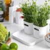 SmartStore™ kansi Compact Square M
