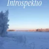 Soini, Introspektio