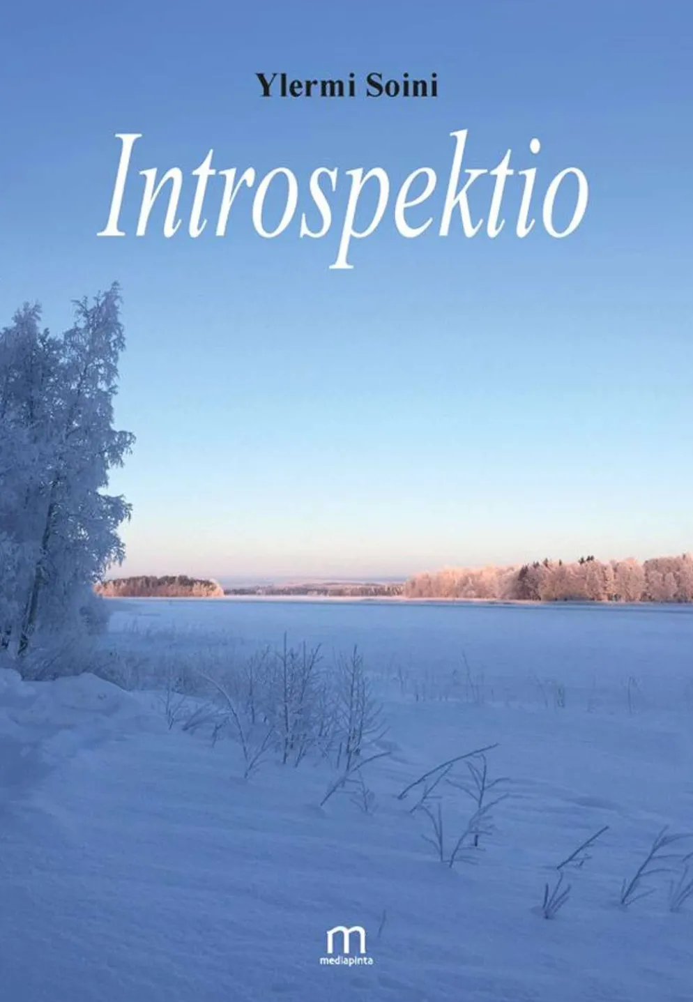 Soini, Introspektio