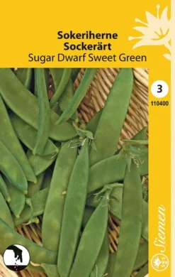 Sokeriherne Suger Dwarf Sweet