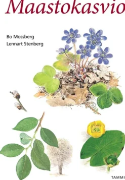 Stenberg, Maastokasvio