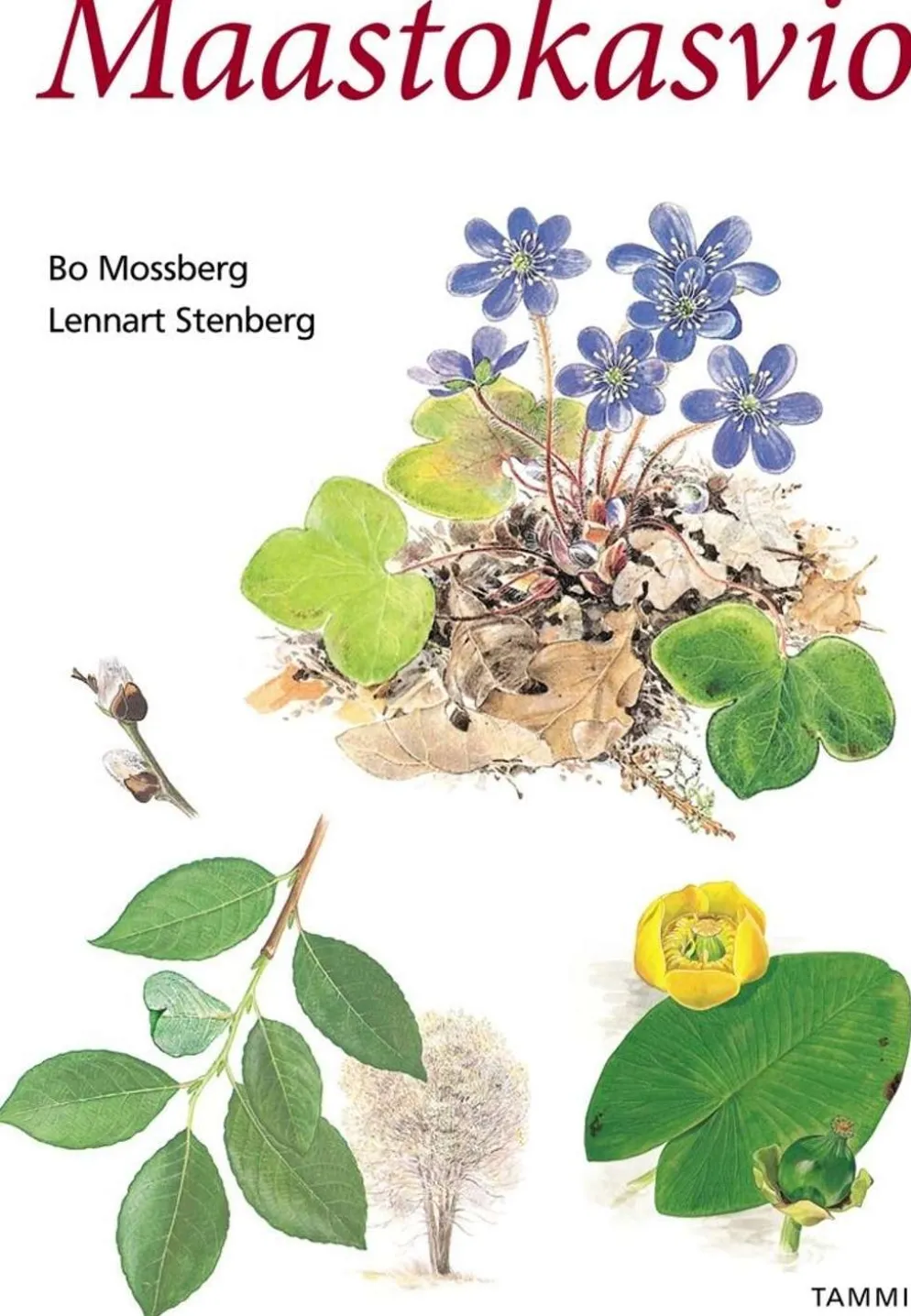 Stenberg, Maastokasvio