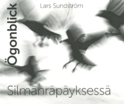 Sundström, Ögonblick - Silmänräpäyksessä