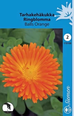 Tarhakehäkukka Balls Orange oranssi