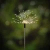 Tarmo Solar puutarhavalaisin Stardust maapiikillä