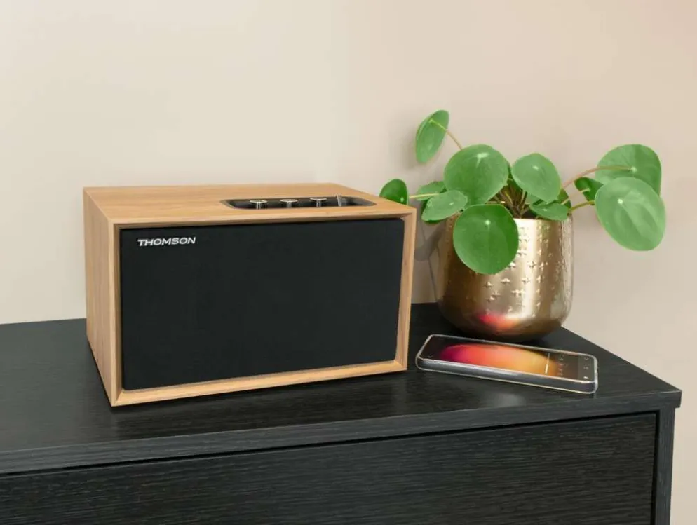 Thomson Bluetooth stereokaiutin WS302 puu