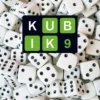 Tiainen, Kubik 9
