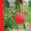 Tiihonen, Näin unta kotimaasta
