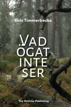 Timmerbacka, Vad ögat inte ser