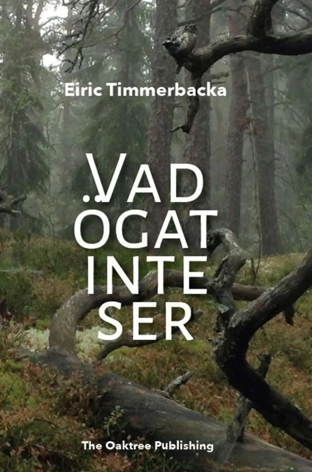 Timmerbacka, Vad ögat inte ser