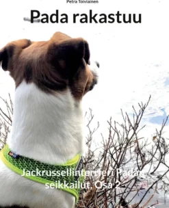 Toiviainen, Pada rakastuu