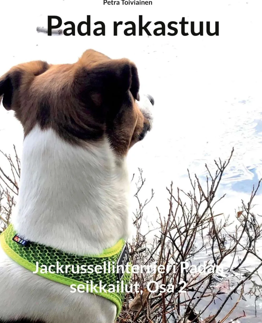 Toiviainen, Pada rakastuu