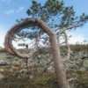 Torvinen, Tuntematon dystonia - Vääntynyt elämäni : Elämäkertaromaani