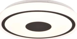 Trio kattovalaisin Bunda LED 33 cm mattamusta/valkoinen