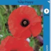 Tulppaaniunikko Tulip Poppy