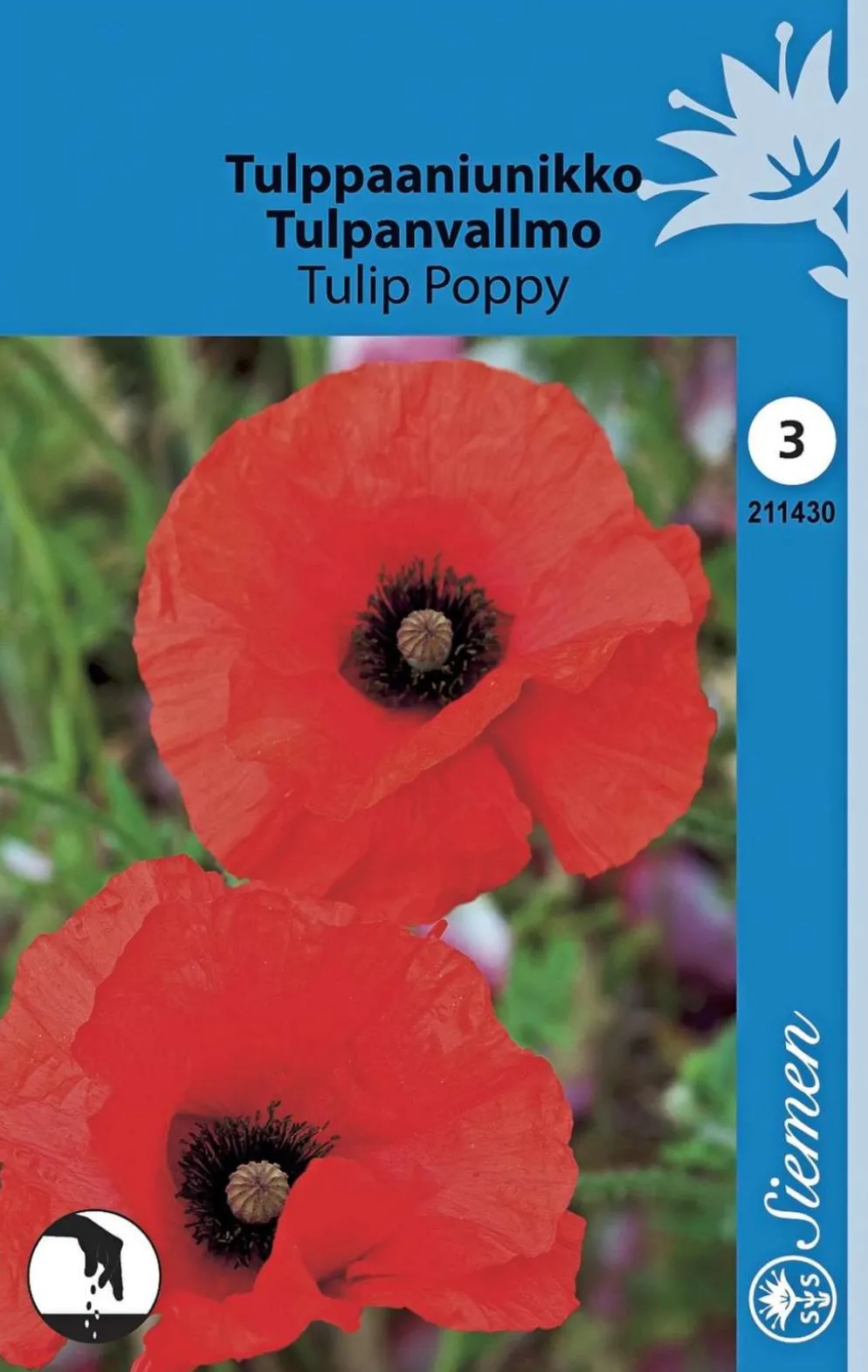 Tulppaaniunikko Tulip Poppy