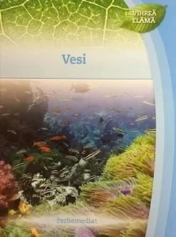 Vesi